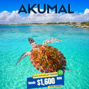 Reserva de traslado de aeropuerto de Tulum a Akumal