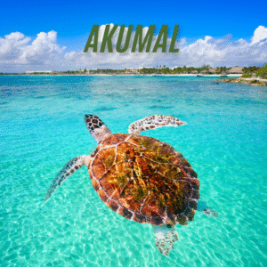 Akumal